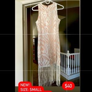 Lace, Endless Rose brand, mid high length dress, petite size small. Never worn.